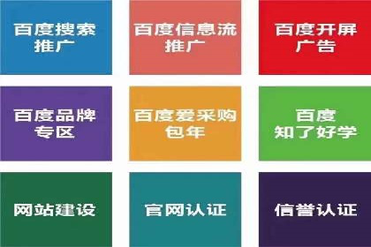 某行业SEM主管的优化策略与成果展示